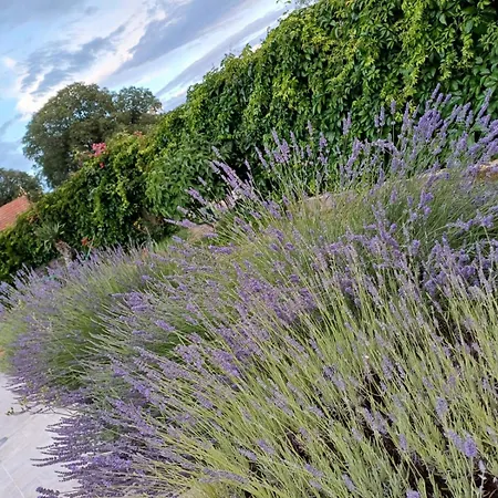 Kuca Za Odmor Silvano Villa *