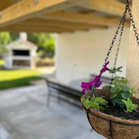 Villa Kuca Za Odmor Silvano *