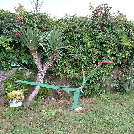 Kuca Za Odmor Silvano Villa *