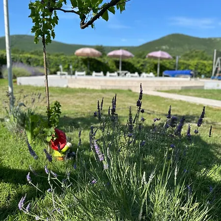 Kuca Za Odmor Silvano * Dicmo